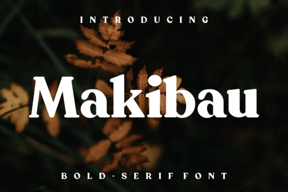 Makibau: The Premium Serif Font for Scroll-Stopping Visuals