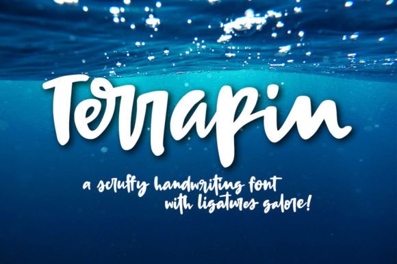 Terrapin: A Handwritten Font for Authentic Brand Identity