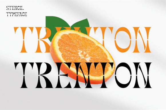 Trenton: The Serif Typeface for Scroll-Stopping Brand Visuals